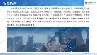 2019年中国智慧能源产业投资前景研究报告